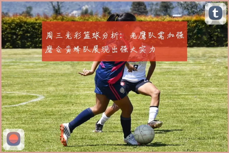 周三竞彩篮球分析：老鹰队需加强磨合黄蜂队展现出强大实力
