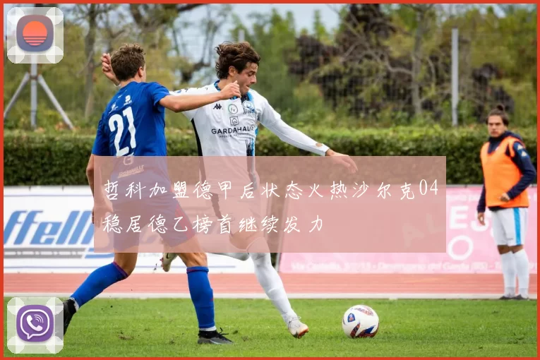 哲科加盟德甲后状态火热沙尔克04稳居德乙榜首继续发力