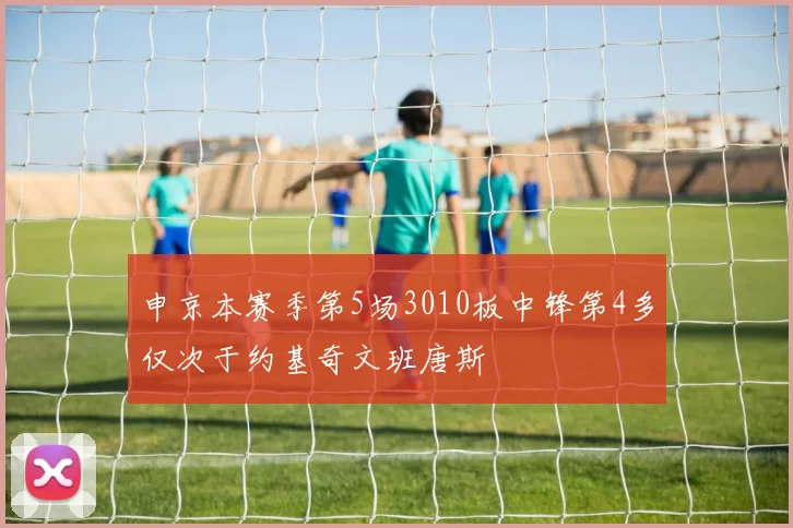申京本赛季第5场3010板中锋第4多仅次于约基奇文班唐斯